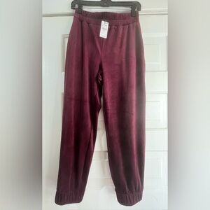 NWT Express Women High Waisted Velour Joggers
Wine 851